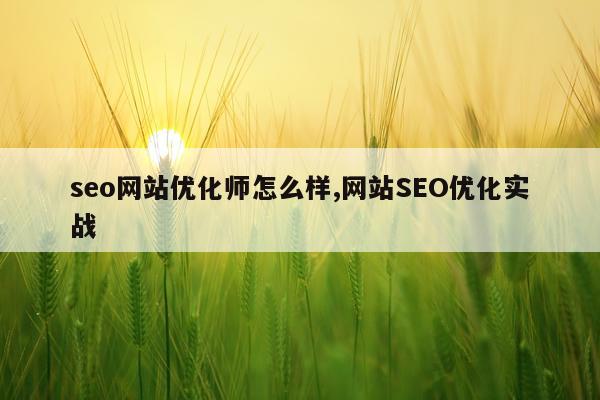 seo网站优化师怎么样,网站SEO优化实战