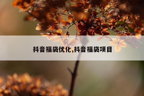 抖音福袋优化,抖音福袋项目