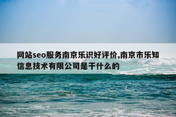 网站seo服务南京乐识好评价,南京市乐知信息技术有限公司是干什么的