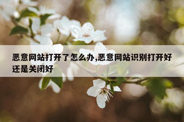 恶意网站打开了怎么办,恶意网站识别打开好还是关闭好
