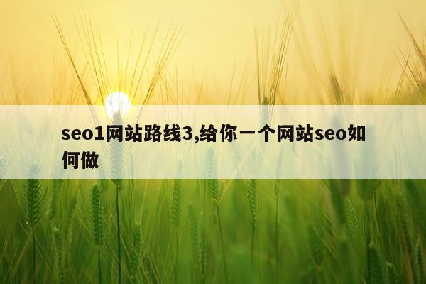 seo1网站路线3,给你一个网站seo如何做