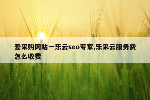 爱采购网站一乐云seo专家,乐采云服务费怎么收费