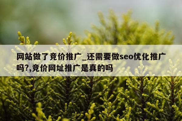 网站做了竞价推广_还需要做seo优化推广吗?,竞价网址推广是真的吗