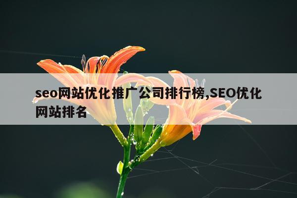 seo网站优化推广公司排行榜,SEO优化网站排名
