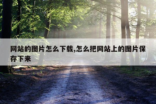 网站的图片怎么下载,怎么把网站上的图片保存下来