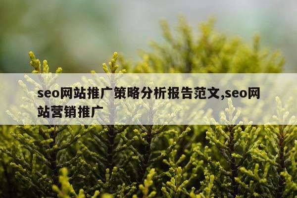 seo网站推广策略分析报告范文,seo网站营销推广