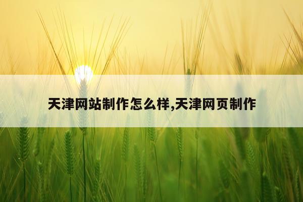 天津网站制作怎么样,天津网页制作