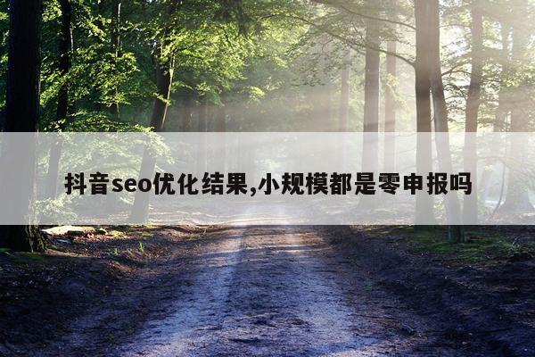 抖音seo优化结果,小规模都是零申报吗