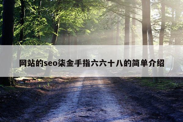 网站的seo柒金手指六六十八的简单介绍