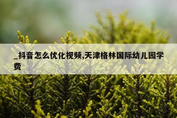 _抖音怎么优化视频,天津格林国际幼儿园学费