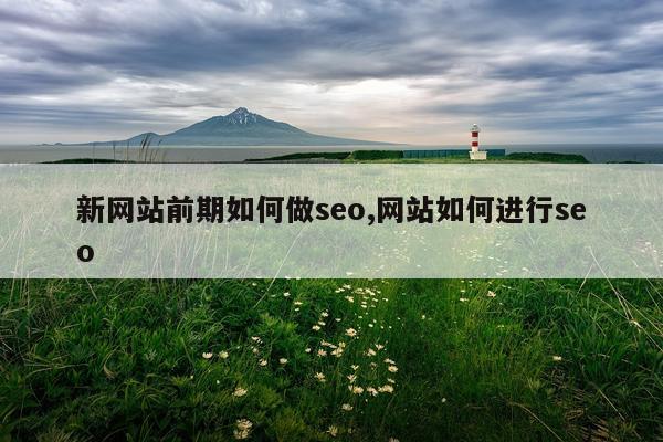 新网站前期如何做seo,网站如何进行seo