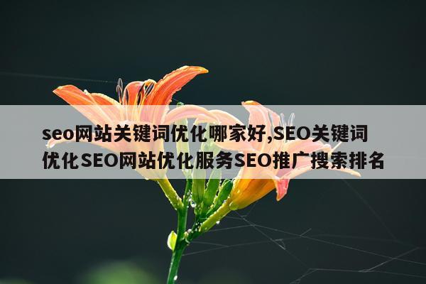 seo网站关键词优化哪家好,SEO关键词优化SEO网站优化服务SEO推广搜索排名