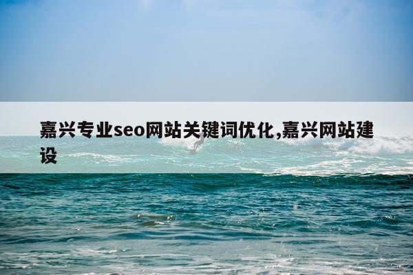 嘉兴专业seo网站关键词优化,嘉兴网站建设