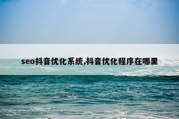 seo抖音优化系统,抖音优化程序在哪里