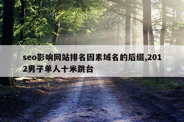 seo影响网站排名因素域名的后缀,2012男子单人十米跳台