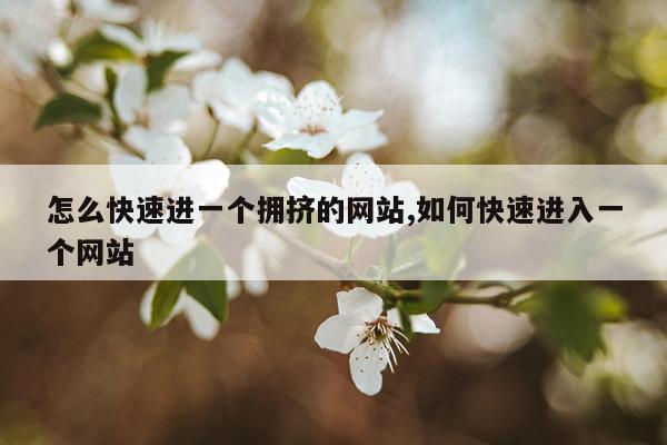 怎么快速进一个拥挤的网站,如何快速进入一个网站