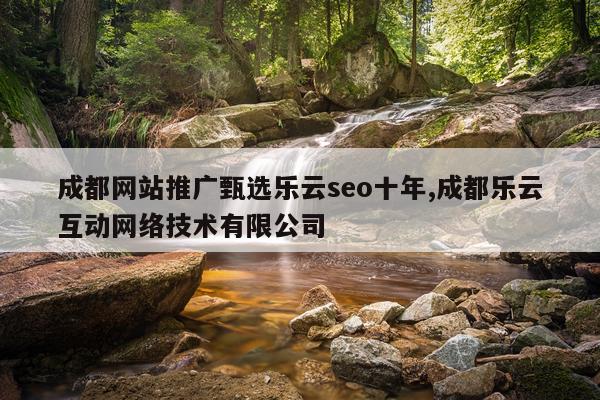成都网站推广甄选乐云seo十年,成都乐云互动网络技术有限公司