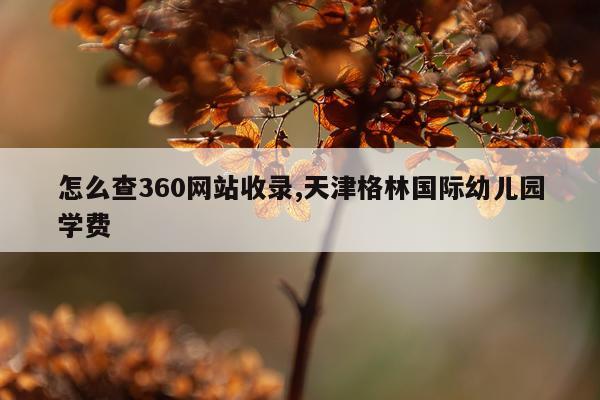 怎么查360网站收录,天津格林国际幼儿园学费