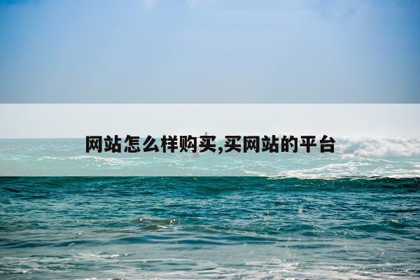 网站怎么样购买,买网站的平台
