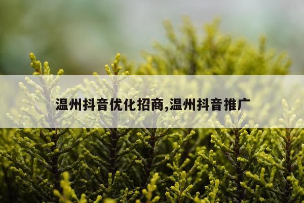 温州抖音优化招商,温州抖音推广