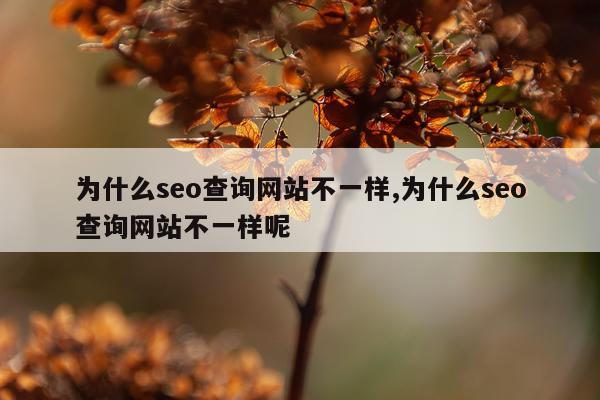 为什么seo查询网站不一样,为什么seo查询网站不一样呢