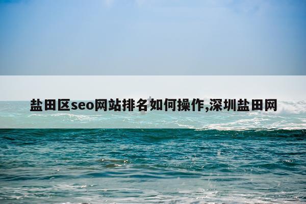 盐田区seo网站排名如何操作,深圳盐田网
