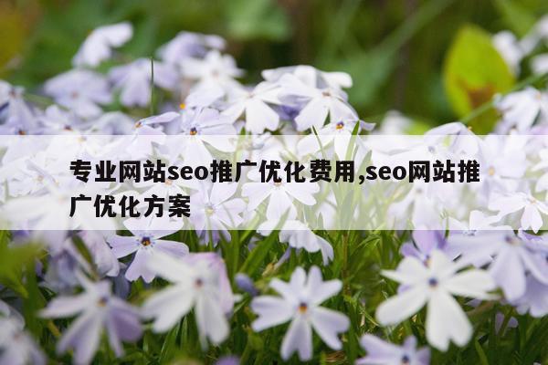 专业网站seo推广优化费用,seo网站推广优化方案