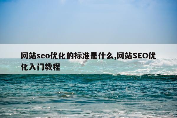 网站seo优化的标准是什么,网站SEO优化入门教程