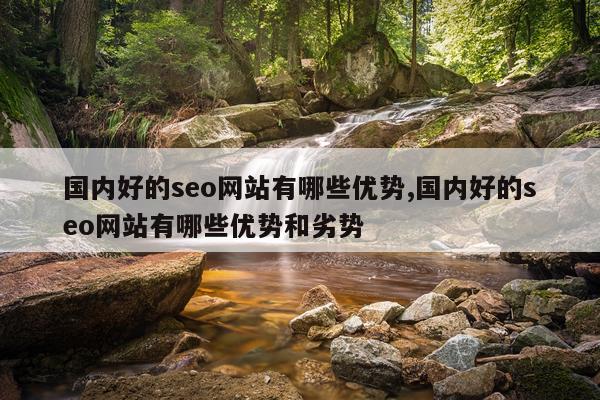 国内好的seo网站有哪些优势,国内好的seo网站有哪些优势和劣势