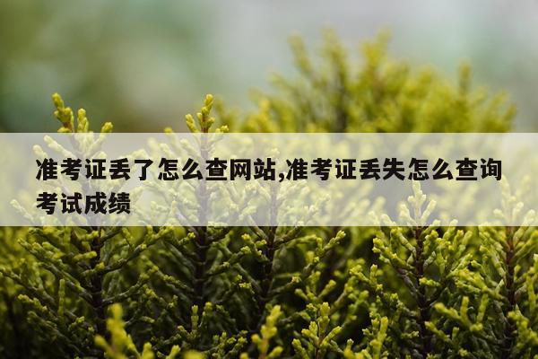 准考证丢了怎么查网站,准考证丢失怎么查询考试成绩