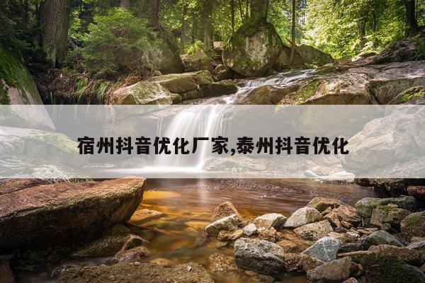 宿州抖音优化厂家,泰州抖音优化