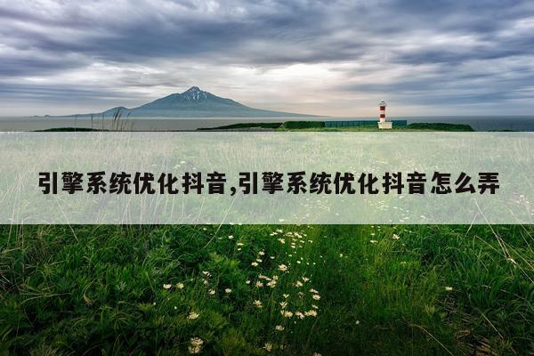 引擎系统优化抖音,引擎系统优化抖音怎么弄