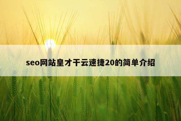 seo网站皇才干云速捷20的简单介绍