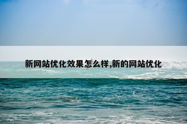 新网站优化效果怎么样,新的网站优化