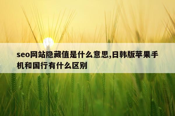 seo网站隐藏值是什么意思,日韩版苹果手机和国行有什么区别