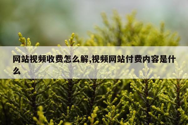 网站视频收费怎么解,视频网站付费内容是什么