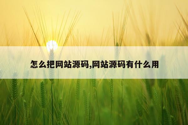 怎么把网站源码,网站源码有什么用