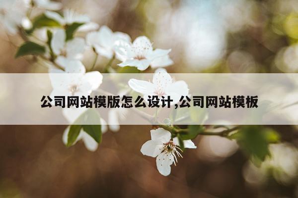 公司网站模版怎么设计,公司网站模板