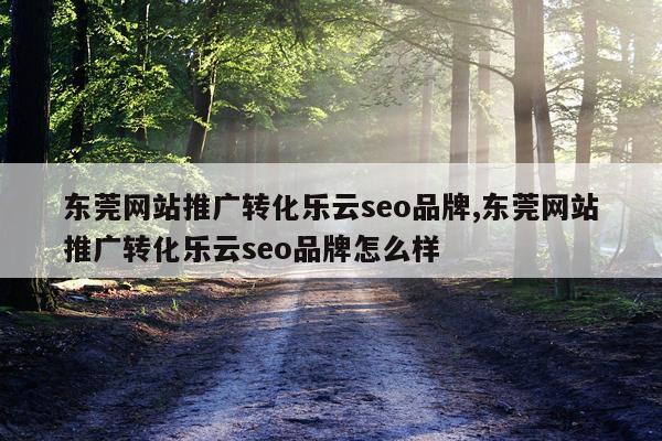 东莞网站推广转化乐云seo品牌,东莞网站推广转化乐云seo品牌怎么样