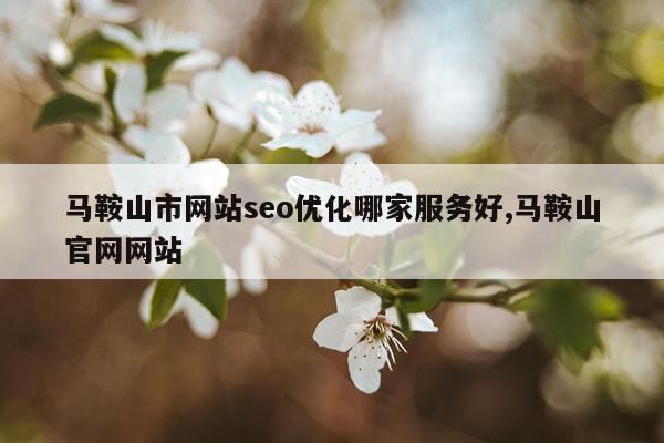马鞍山市网站seo优化哪家服务好,马鞍山官网网站