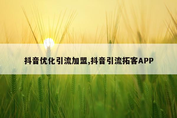 抖音优化引流加盟,抖音引流拓客APP
