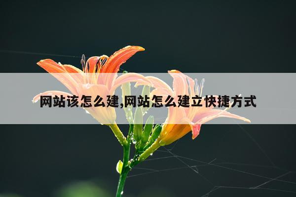 网站该怎么建,网站怎么建立快捷方式