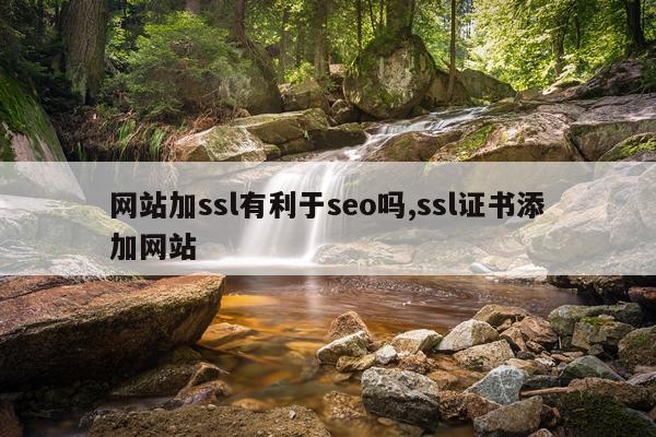 网站加ssl有利于seo吗,ssl证书添加网站