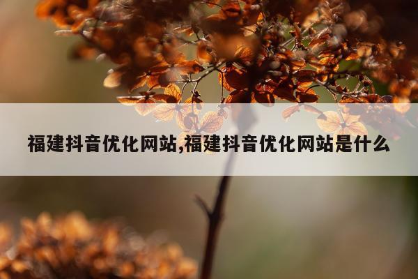 福建抖音优化网站,福建抖音优化网站是什么