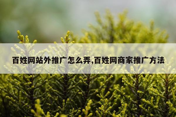 百姓网站外推广怎么弄,百姓网商家推广方法