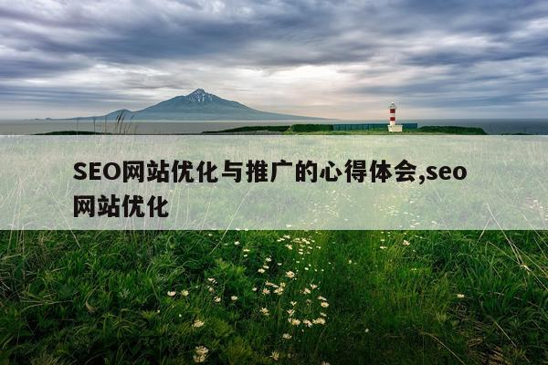 SEO网站优化与推广的心得体会,seo 网站优化