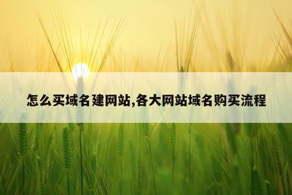 怎么买域名建网站,各大网站域名购买流程