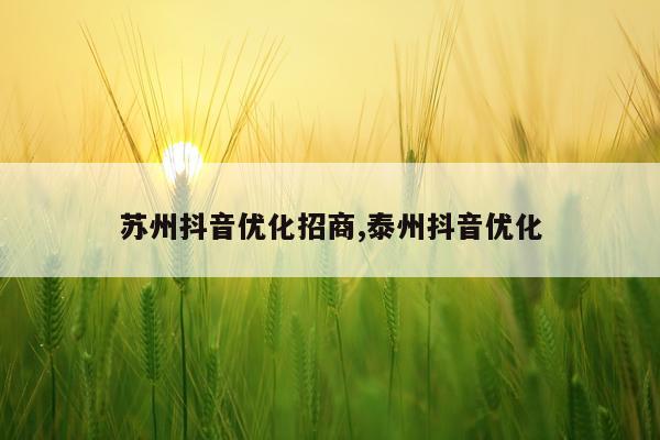 苏州抖音优化招商,泰州抖音优化
