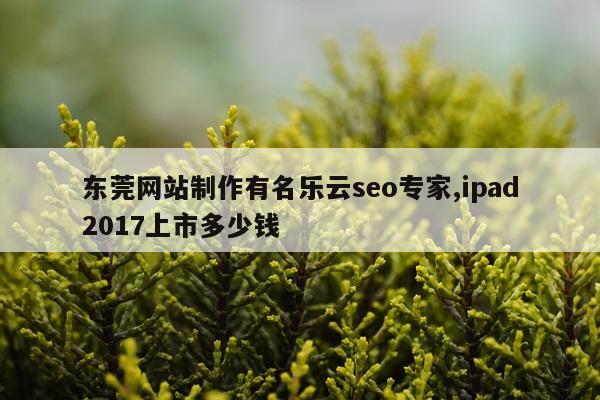 东莞网站制作有名乐云seo专家,ipad2017上市多少钱