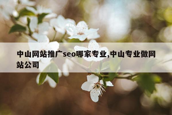中山网站推广seo哪家专业,中山专业做网站公司